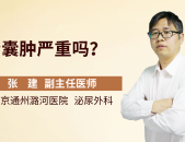 游泳速度优化与战术建模英文2025马拉松全部赛程表海军训练项目